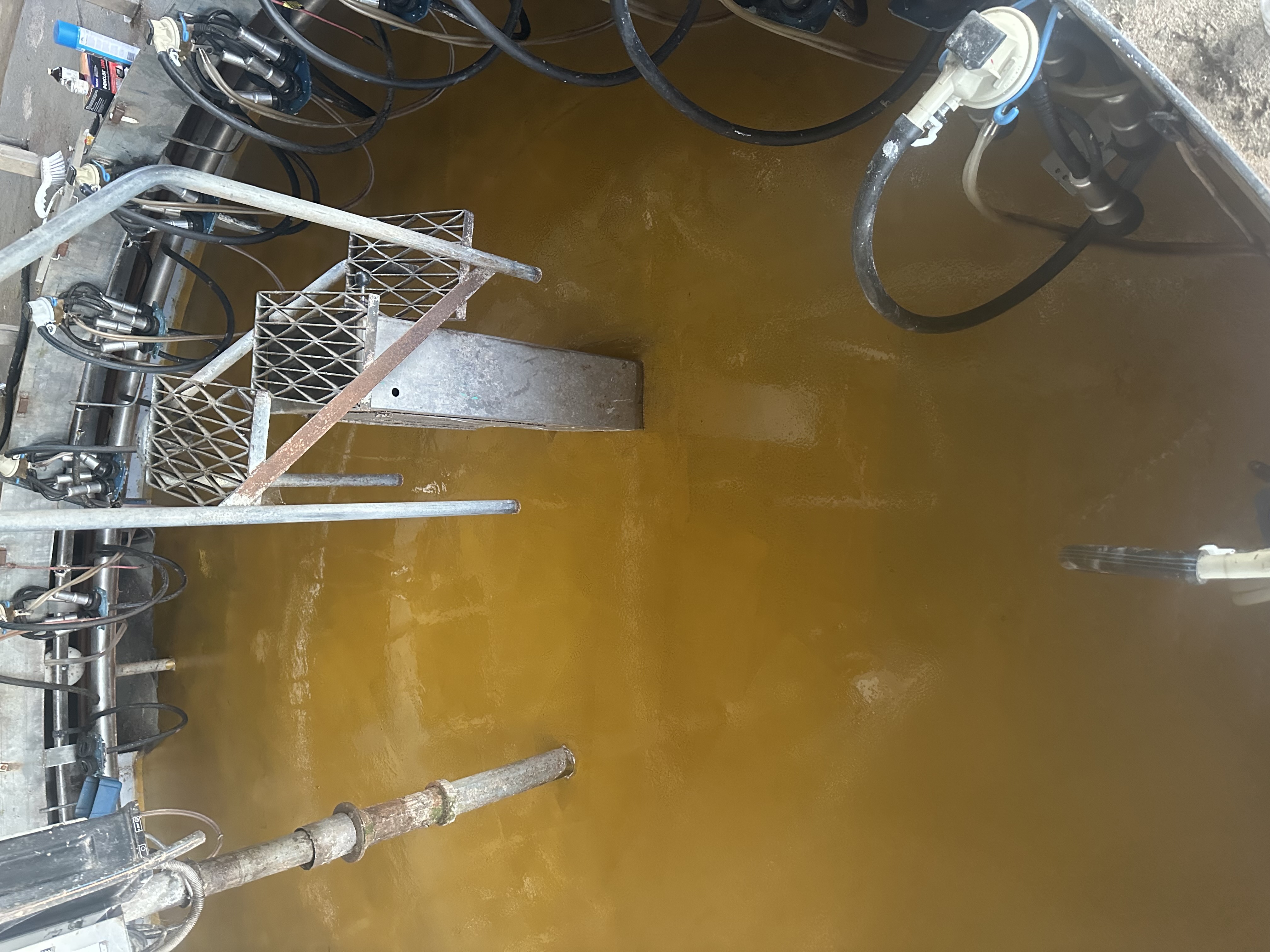Milking pit floor coated in gold epoxy resin, viewed from above