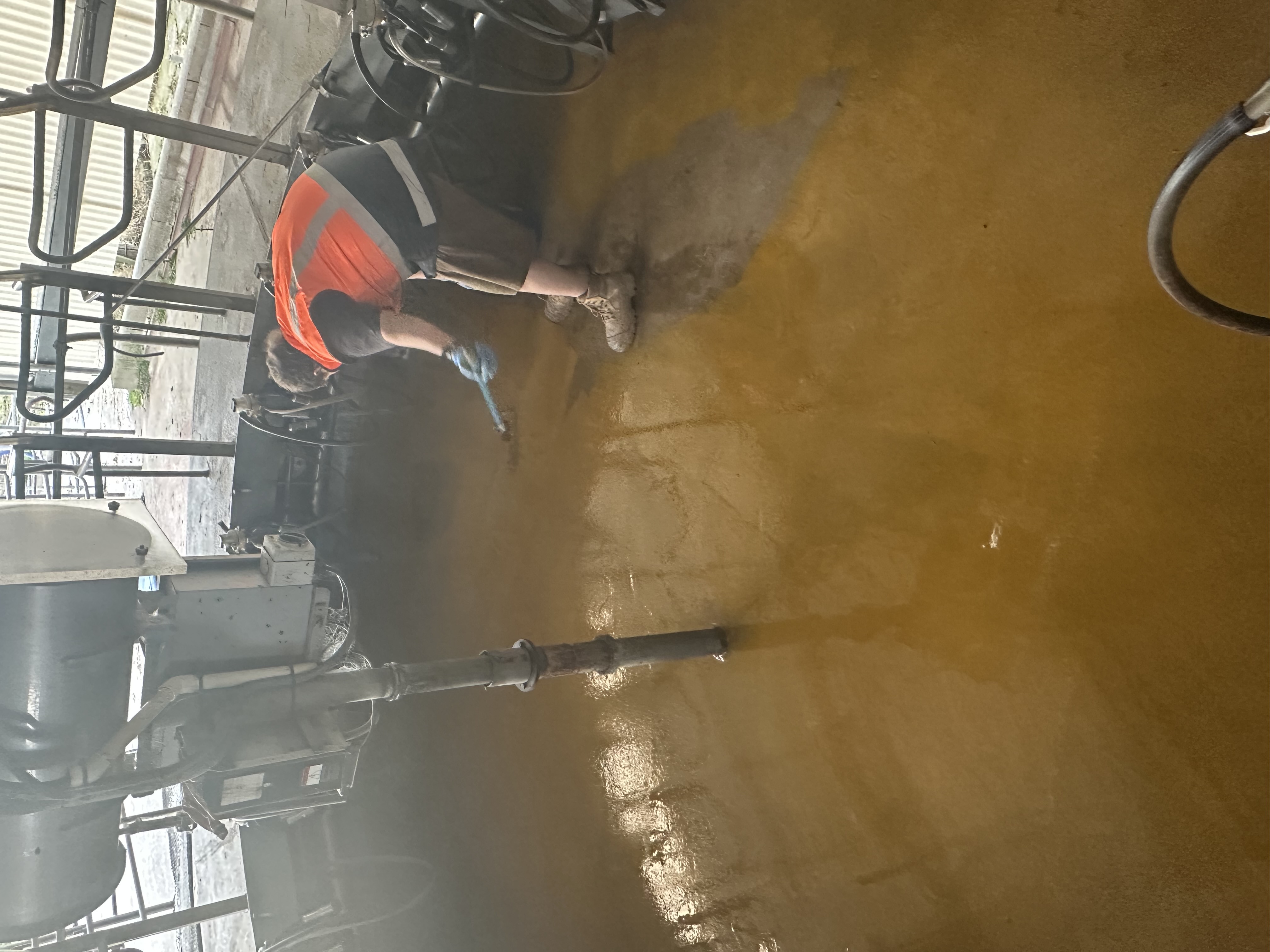 Worker in a hi-vis vest spreading gold epoxy resin across a milking pit floor