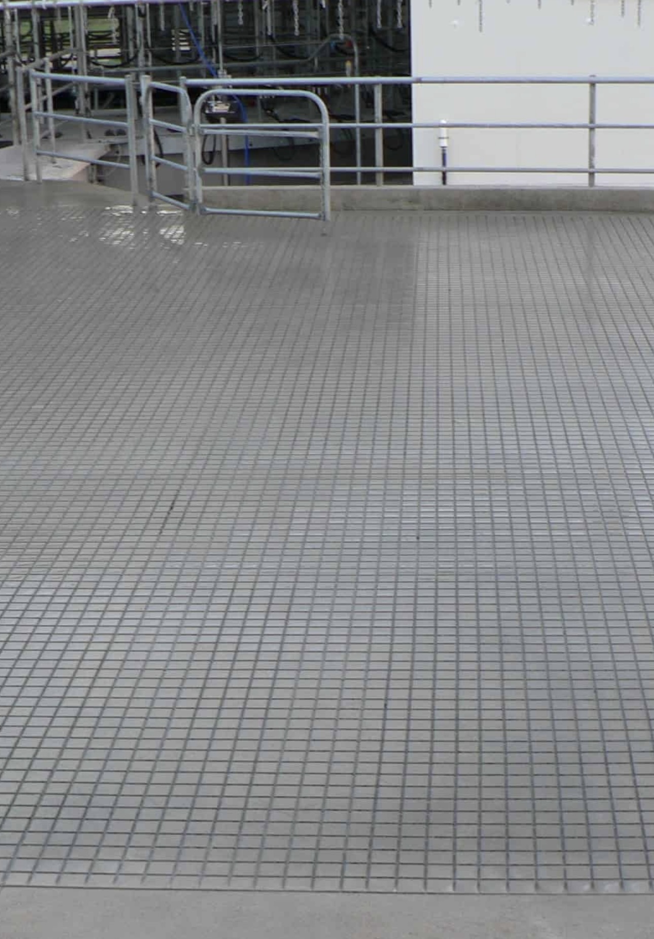 Fine square-grid anti-slip grooving across a washed-down dairy yard